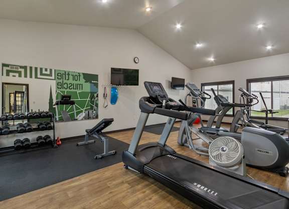 A gym with a treadmill, weights, and exercise equipment.
