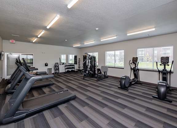 A gym with treadmills, weights, and exercise machines.
