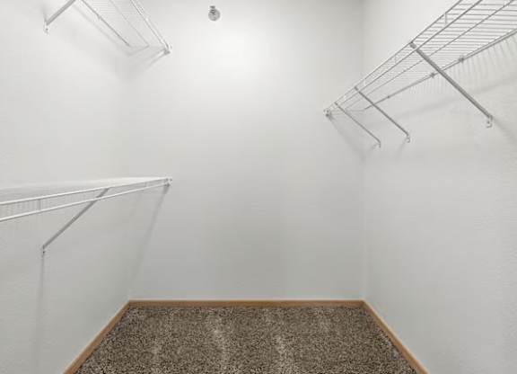 Empty walk-in closet with shelving and carpeted floor.