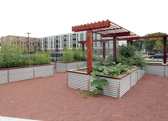 Community garden space