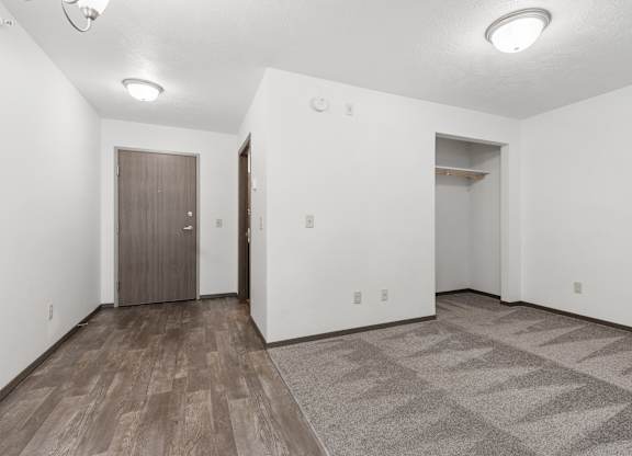 A room with a wooden floor and a brown door.