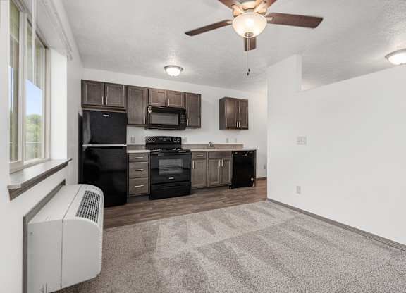 A kitchen with a black fridge, microwave, and oven.