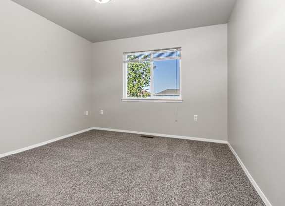 A room with a carpeted floor and a window showing a tree and a building outside.