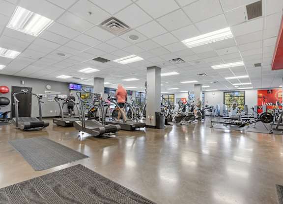 A gym with treadmills, exercise bikes, and other equipment.