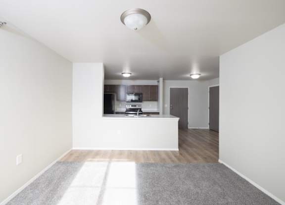 A white room with a grey carpet and a window.