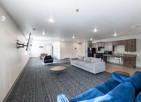 A living room with a grey carpet and a blue couch.