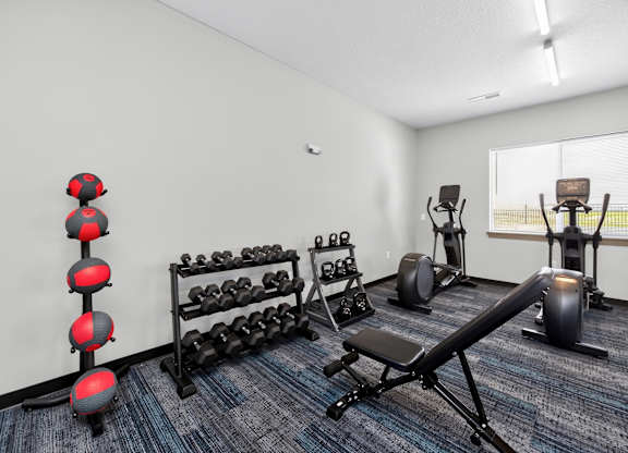 A gym with a variety of equipment including dumbbells, weight plates, and a bench press.