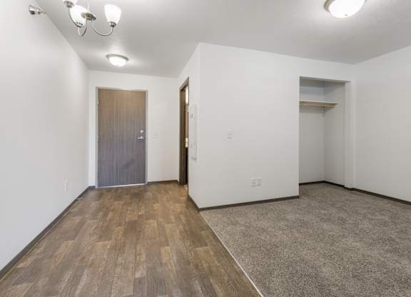 A room with a wooden floor and a grey door.