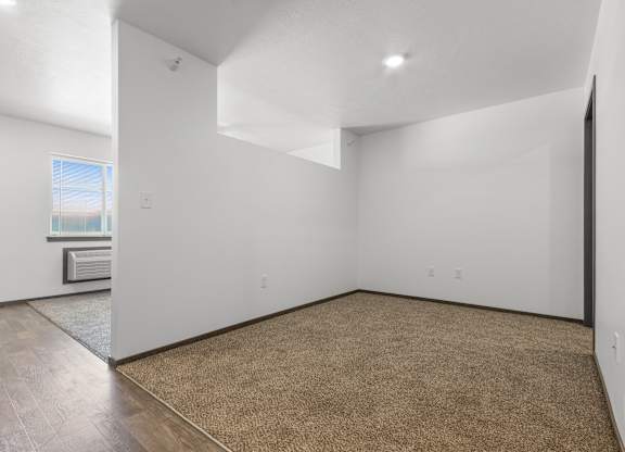A room with a brown carpet and a window.