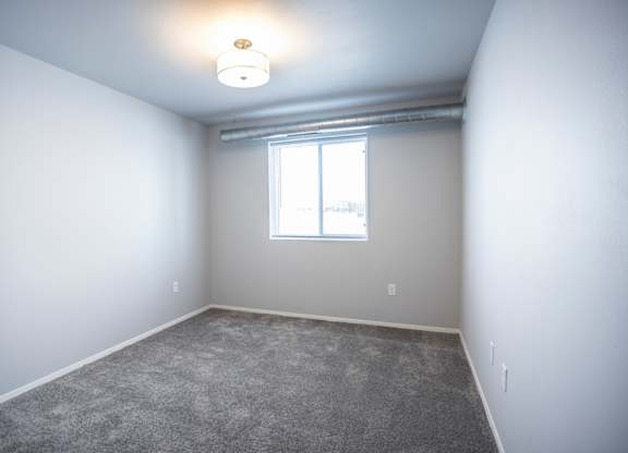 Bright, vacant bedroom with neutral walls and carpet flooring.