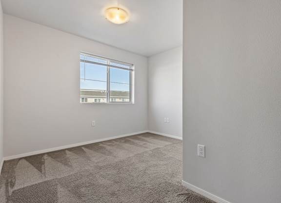 A room with a window and a carpeted floor.