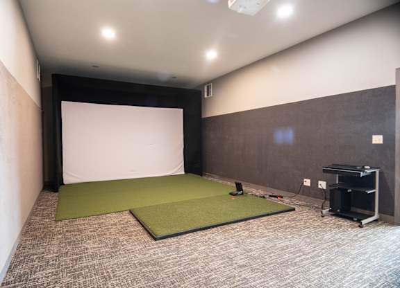 golf simulator