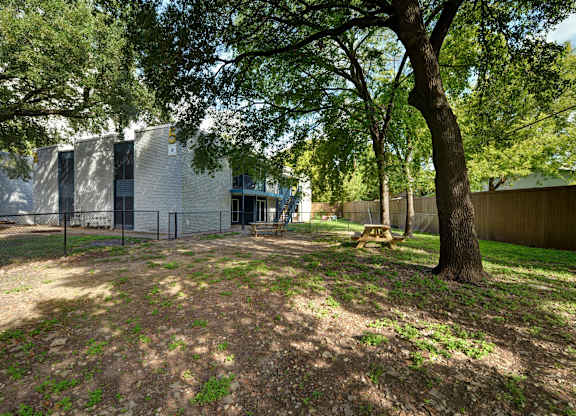 Outdoor yard with picnic table and mature trees at Azure Apartments, Austin, 78752