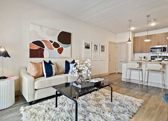 Modern Living Room at McCarty Commons, San Marcos, TX