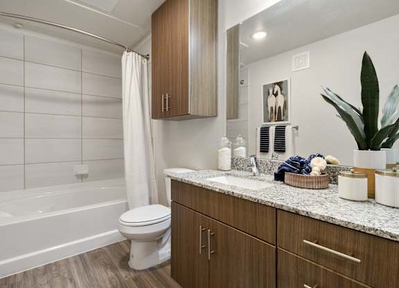 Bathroom with Tub at McCarty Commons, Texas, 78666