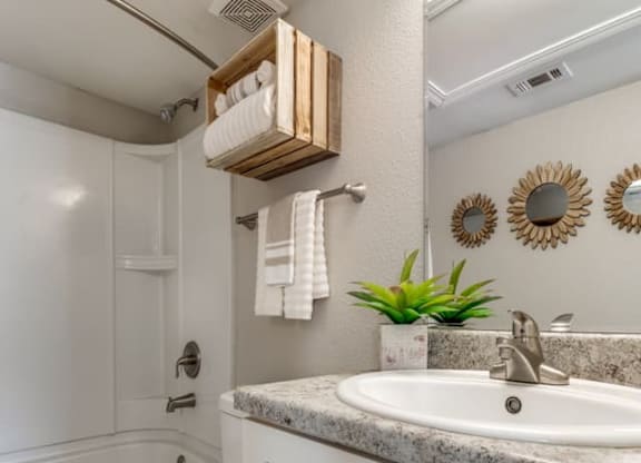 Full Bathroom at Hackberry Ranch Apartments, Clute