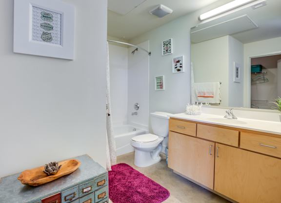 Bathroom with white vanity and bathtub at 1221 Broadway Lofts Apartments, Texas, 78215