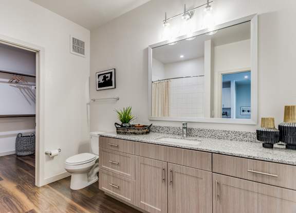 Designer Bathroom Suites with accessible closet at Cobalt, Saginaw