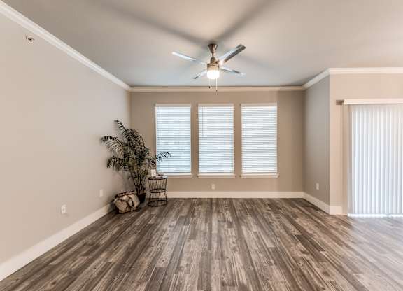 A room with a ceiling fan and a plant at Rosemary Apartments, Conroe, TX