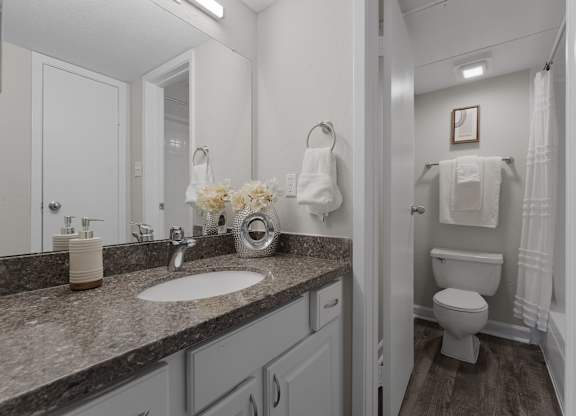 Bathroom vanity with granite countertop and dual space layout at Monarch Medical Center Apartments, Houston, 77054