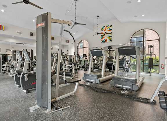 Fitness with cardio and strength training equipment at Melia Medical Center Apartments, Houston, 77054