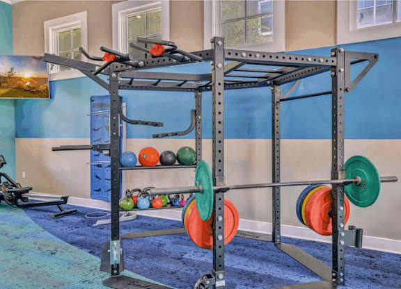 A home gym with a squat rack, weights, and a bench.