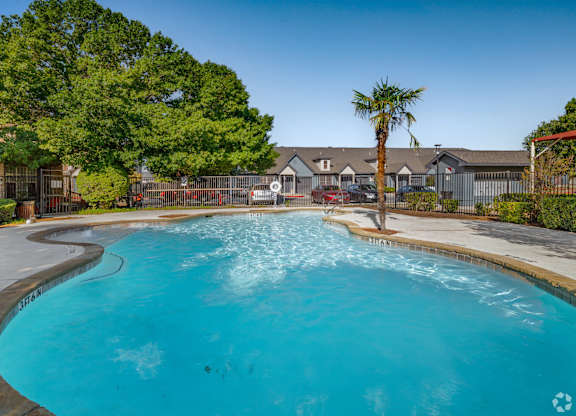 Resort style swimming pool with palm tree at Houston Street Townhomes Apartments, San Antonio, TX