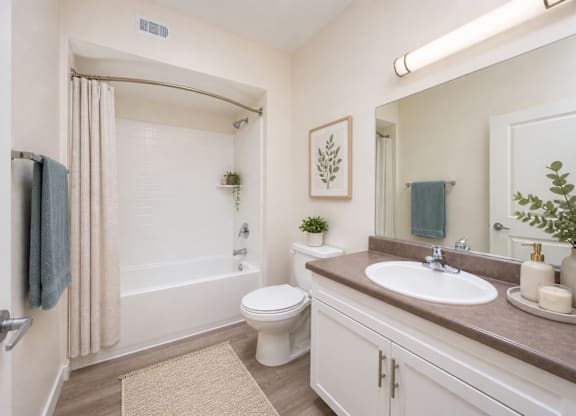 Bathroom interior at Terracina at Lancaster | Affordable Apartments, Lancaster, CA, 93535
