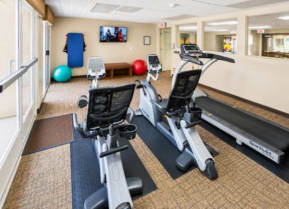 A gym with treadmills and exercise balls.