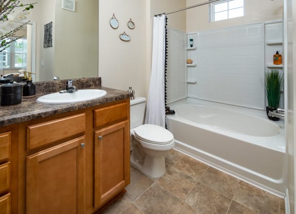 Bathroom at Abberly Crossing Apartment Homes, South Carolina