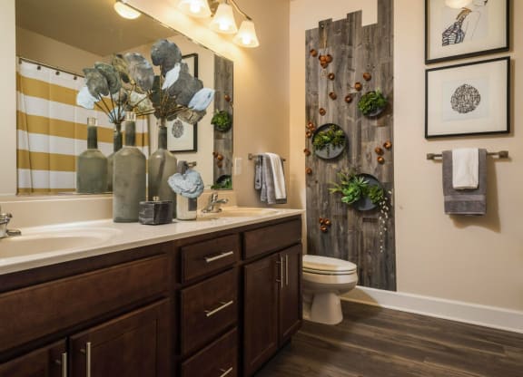 Bathroom Accessories at Abberly at Southpoint Apartment Homes by HHHunt, Virginia, 22407