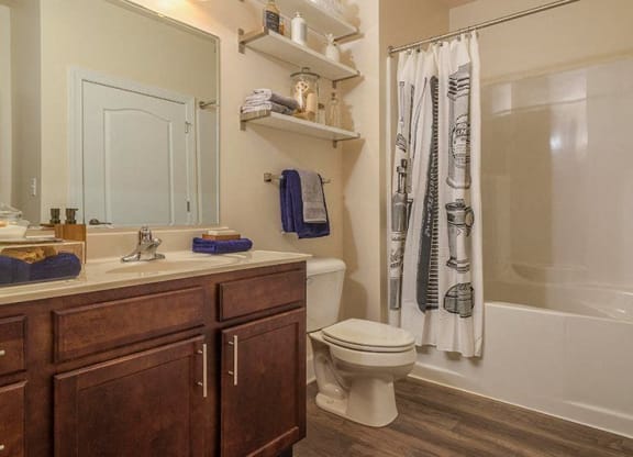Wood-Plank Style Flooring in Baths at Abberly at Southpoint Apartment Homes by HHHunt, Fredericksburg, 22407