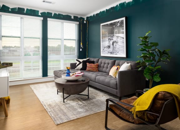 a living room with teal walls and a gray couch