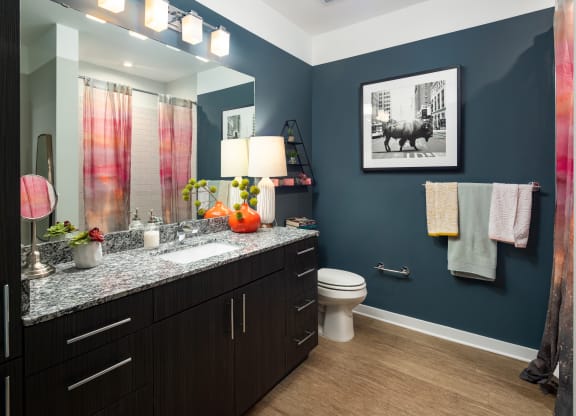 a bathroom with blue walls and a black and white picture on the wall at Abberly Noda Vista Apartment Homes, Charlotte