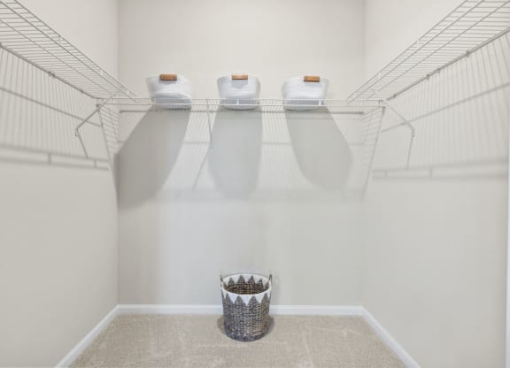 large walk in closet at West Ashley Apartment Homes, Charleston, SC