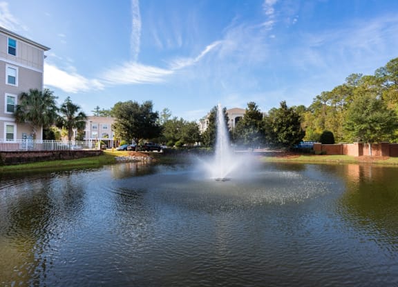 Water fountain at West Ashley Apartment Homes, Charleston