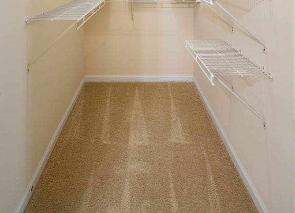 Expansive Walk In Closets at Abberly Woods Apartment Homes, Charlotte, 28216