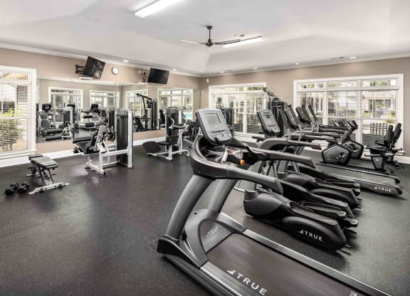 Fitness Center with Cardio Machines at Abberly Woods Apartment Homes, Charlotte