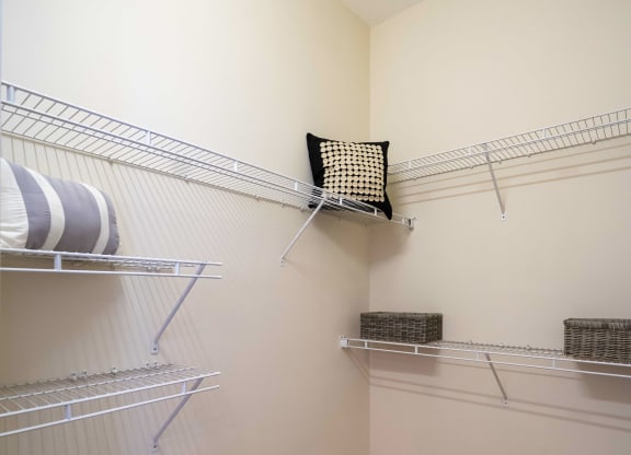 Walk In Closet with Organizers at Abberly Woods Apartment Homes, 28216