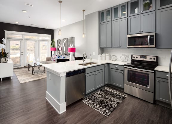Stainless Steel Appliances at Abberly Onyx Apartment Homes, Georgia