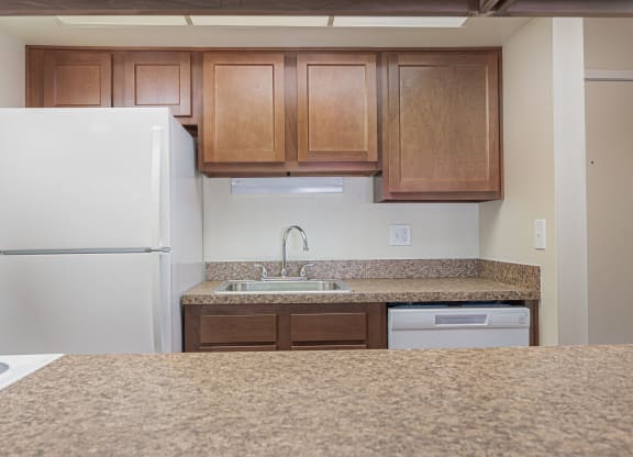 a kitchen with a sink and a refrigerator
