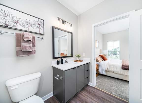 A bathroom with a white toilet, a mirror, and a cabinet.