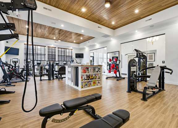A gym with a variety of equipment including a treadmill, weights, and a bench press.