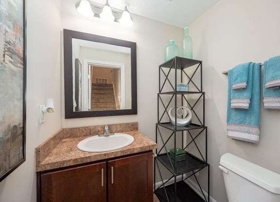 a bathroom with a sink and a mirror and a towel rack