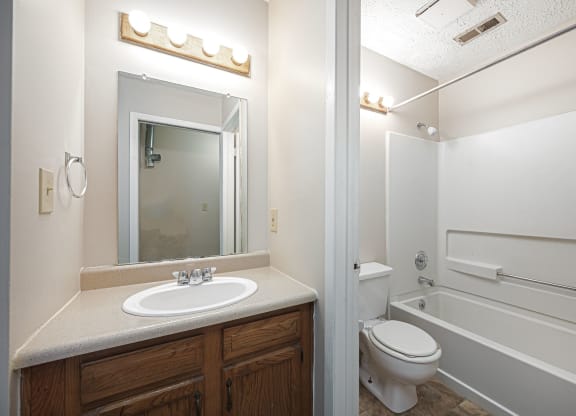 a bathroom with a sink and a toilet and a tub