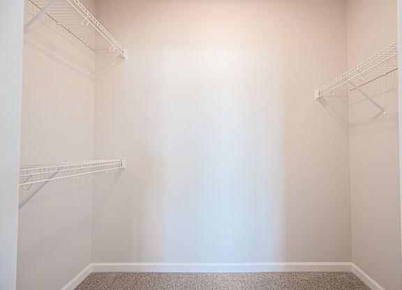 Empty white closet with shelves and carpeted floor.