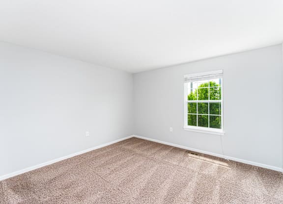 A room with a carpeted floor and a window showing greenery outside.