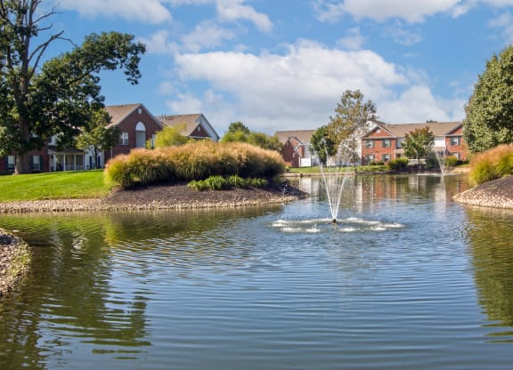 Pond