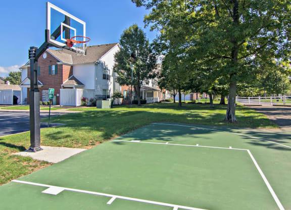 Basketball Court