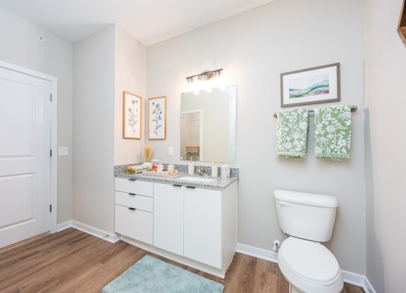 a bathroom with a sink toilet and a mirror